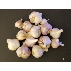 Certified Organic Kishlyk Culinary Garlic Harvested on our Farm - 4 oz. Bag (FARM PICK-UP)