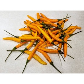 Hot Pepper ‘Yellow Thai’ Seeds (Certified Organic)