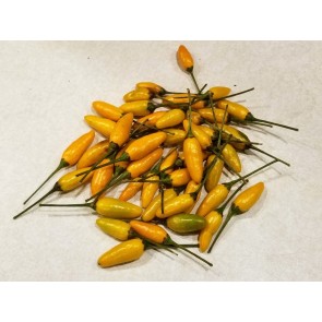 Hot Pepper ‘Yellow Pequin’ Seeds (Certified Organic)