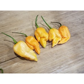 Hot Pepper 'Jay's Peach Ghost Scorpion' Seeds (Certified Organic)