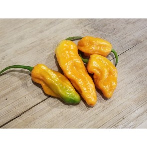 Hot Pepper ‘Bih Jolokia x Sugar Rush Peach' Seeds (Certified Organic)