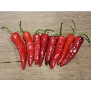 Hot Pepper 'Aci Sivri Biber Cross' Seeds (Certified Organic)