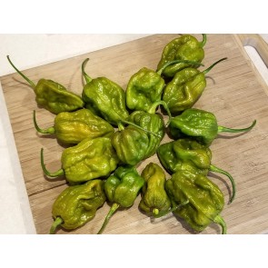 Hot Pepper ‘Big Mustard Mama' Seeds (Certified Organic)