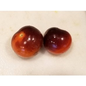 Tomato 'Blue Berries' Seeds (Certified Organic)