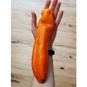 Pepper 'Super Sweet Giant Sunrise' Seeds (Certified Organic)