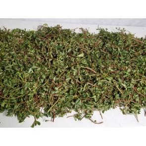 Purslane Seeds (Certified Organic)