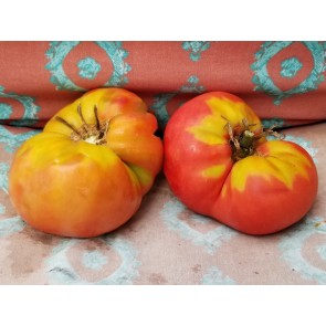 Tomato 'Aunt Ginny's Purple' Seeds (Certified Organic)