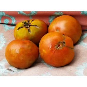 Tomato 'Cherokee Chocolate'