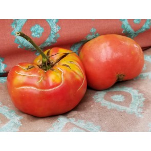 Tomato 'German Queen' Seeds (Certified Organic)