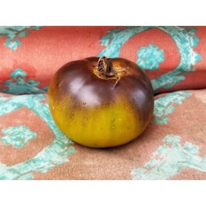 Tomato 'Wagner Blue Green' Seeds (Certified Organic)