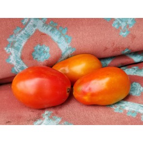 Tomato 'Chico III' Seeds (Certified Organic)
