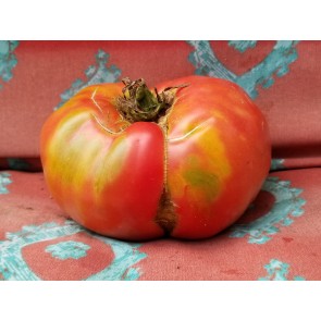 Tomato 'Monk' Seeds (Certified Organic)