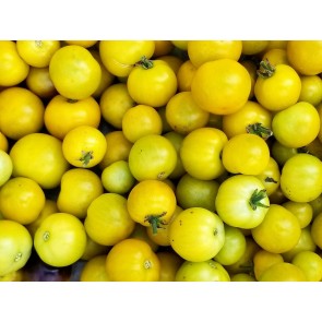 Tomato 'Gobstopper' 