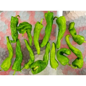 Hot Pepper ‘Hot Portugal’ Seeds (Certified Organic)