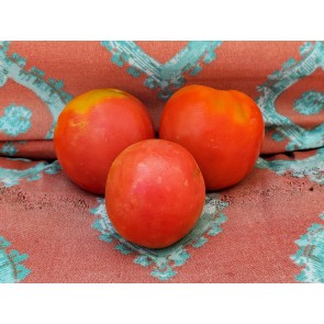Tomato 'Amerikanskiy Sladkiy' Seeds (Certified Organic)