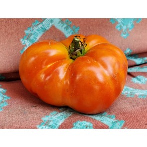 Tomato 'Believe It Or Not' 