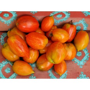 Tomato 'Speckled Roman' Seeds (Certified Organic)