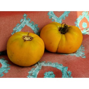 Tomato 'Yellow Jubilee' Seeds (Certified Organic)