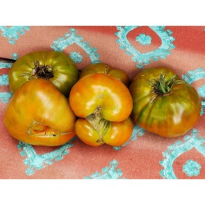 Tomato 'Paul Robeson'