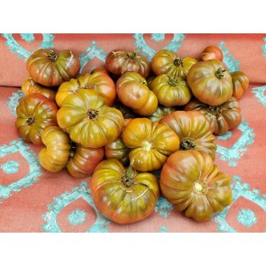 Tomato 'Purple Calabash'