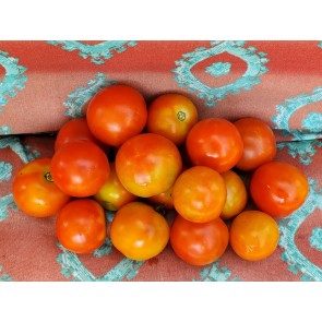 Tomato 'Amy's Sugar Gem' Seeds (Certified Organic)