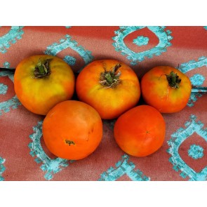 Tomato 'Legend' Seeds (Certified Organic)