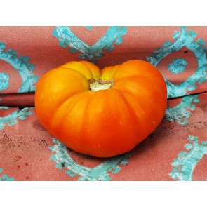 Tomato 'Chapman' Seeds (Certified Organic)