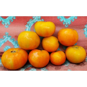 Tomato 'Kewalo' Seeds (Certified Organic)