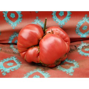 Tomato 'Bear Claw' Seeds (Certified Organic)