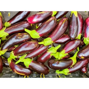 Eggplant ‘Diamond’ Seeds (Certified Organic)