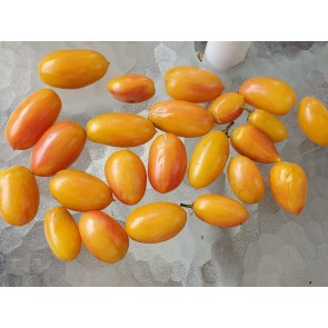 Tomato 'Blush' Seeds (Certified Organic)