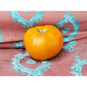 Tomato 'Djena Lee Golden Girl' Seeds (Certified Organic)