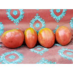 Tomato 'Work Release Paste' Seeds (Certified Organic)