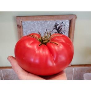 Tomato 'Behemoth King' Seeds (Certified Organic)