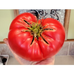 Tomato 'Behemoth King' Seeds (Certified Organic)