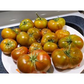 Tomato 'Spud Viper' Seeds (Certified Organic)