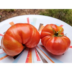 Tomato 'Strawberry Leopard' Seeds (Certified Organic)