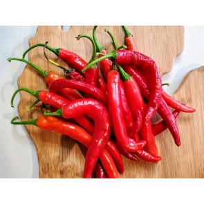 Hot Pepper ‘Goat Horn’ Seeds (Certified Organic)