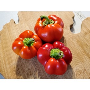 Hot Pepper ‘Hussli Tomato Pepper’ Seeds (Certified Organic)