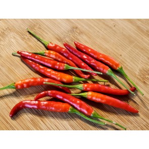 Hot Pepper ‘Rooster Spur’ Seeds (Certified Organic)