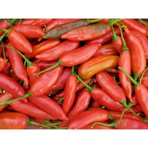 Hot Pepper ‘Aji Colorado’ Seeds (Certified Organic)