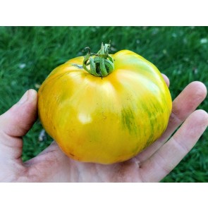 Tomato 'Lava Flow' Seeds (Certified Organic)