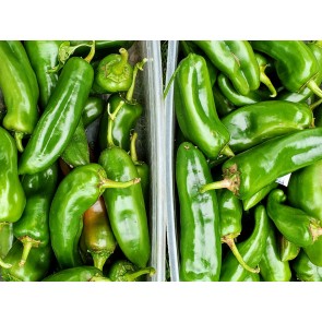 Mild Pepper 'Anaheim'