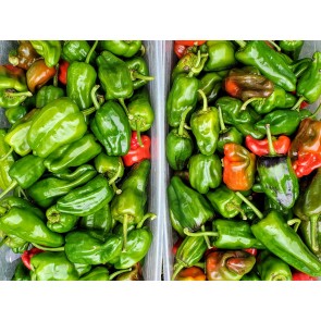 Hot Pepper ‘Pimiento de Padron’ Seeds (Certified Organic)