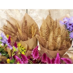 Ornamental Foxtail Grass Bouquet