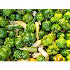 Sweet Pepper Mix