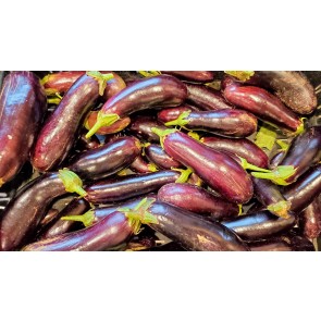 Eggplant ‘Diamond’ Seeds (Certified Organic)