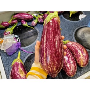 Eggplant ‘Listada de Gandia’ Seeds (Certified Organic)