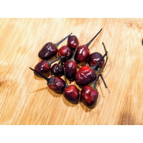 Hot Ornamental Pepper ‘Peruvian Purple’ Seeds (Certified Organic)