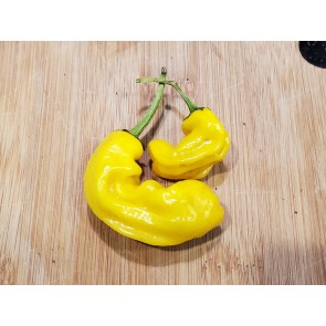 Hot Pepper ‘Yellow Peter’ Seeds (Certified Organic)